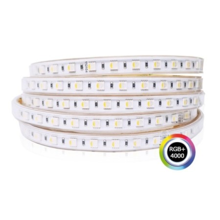 Tira de led RGB+4000K 15 W/m